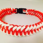 Glow-in-the-dark white and Red Dog Collar