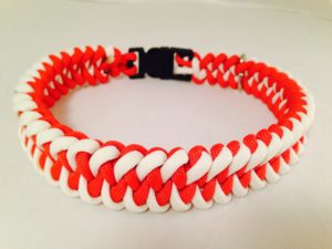 Glow-in-the-dark white and Red Dog Collar